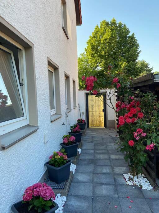 Bronzetaler Lejlighed Bad Harzburg Eksteriør billede
